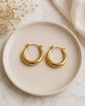 Classic Bold Hoops